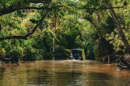 Exploring the Roots of Kumarakom: A Village Shaped by Water and Time