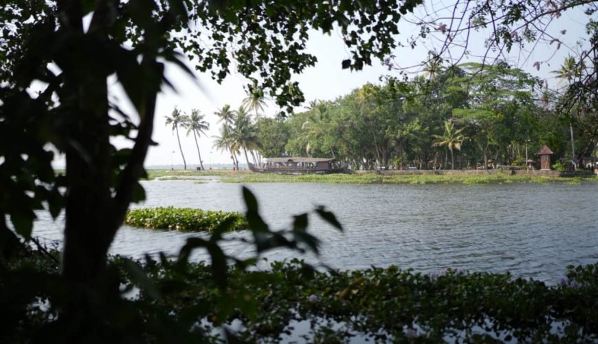 Kumarakom Bird Sanctuary Travel Guide
