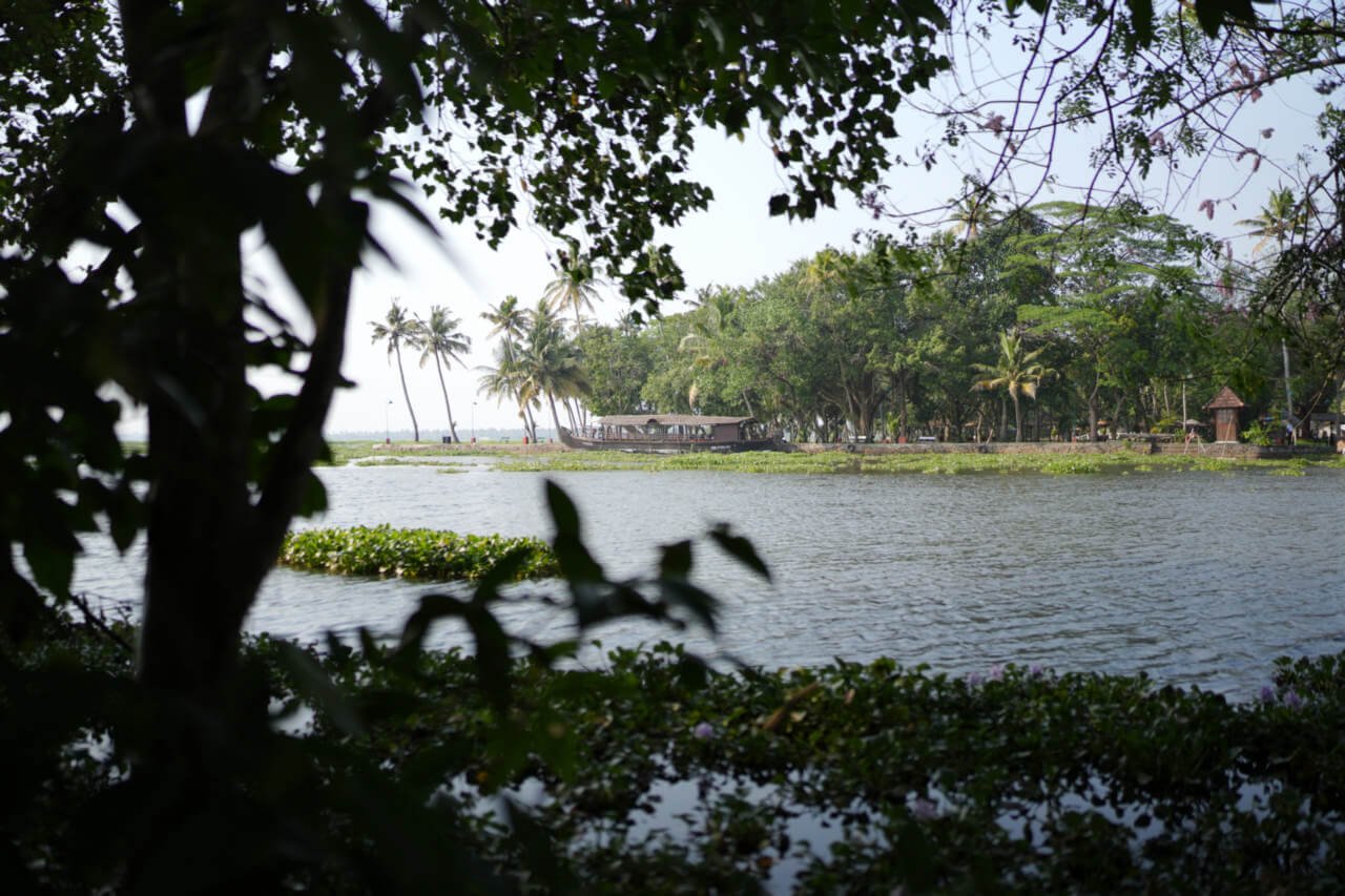 Kumarakom Bird Sanctuary Travel Guide